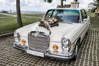 Hochzeitsauto Oldtimer Mercedes 280 SEL mieten & selber fahren Bayern - Viechtach Vorschau