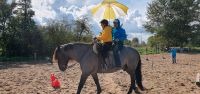 Qualifizierter Reitunterricht uvm. Schleswig-Holstein - Brekendorf Vorschau