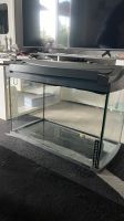 80 Liter Aquarium mit Schrank etc. Herzogtum Lauenburg - Schwarzenbek Vorschau