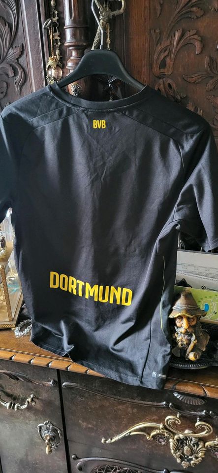T- shirt und short BVB in Dortmund