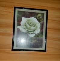 Wandbild "weiße Rose" im Bilderrahmen Hessen - Brechen Vorschau