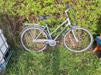 Konvolut Fahrräder fahrbereit gebraucht Bad Doberan - Landkreis - Rerik Vorschau