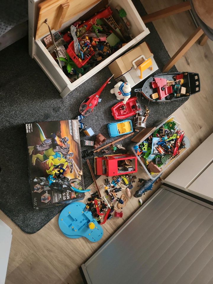 Playmobil Sammlung, Figuren, Tiere, fussball... in Stuttgart