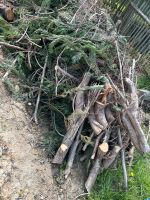 Holz, Äste, Grünschnitt für Hexenfeuer Sachsen - Pulsnitz Vorschau