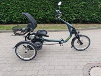 Sesseldreirad Van Raam Easy Rider 3 E-Bike Pedelec Gr. M neu Brandenburg - Cottbus Vorschau