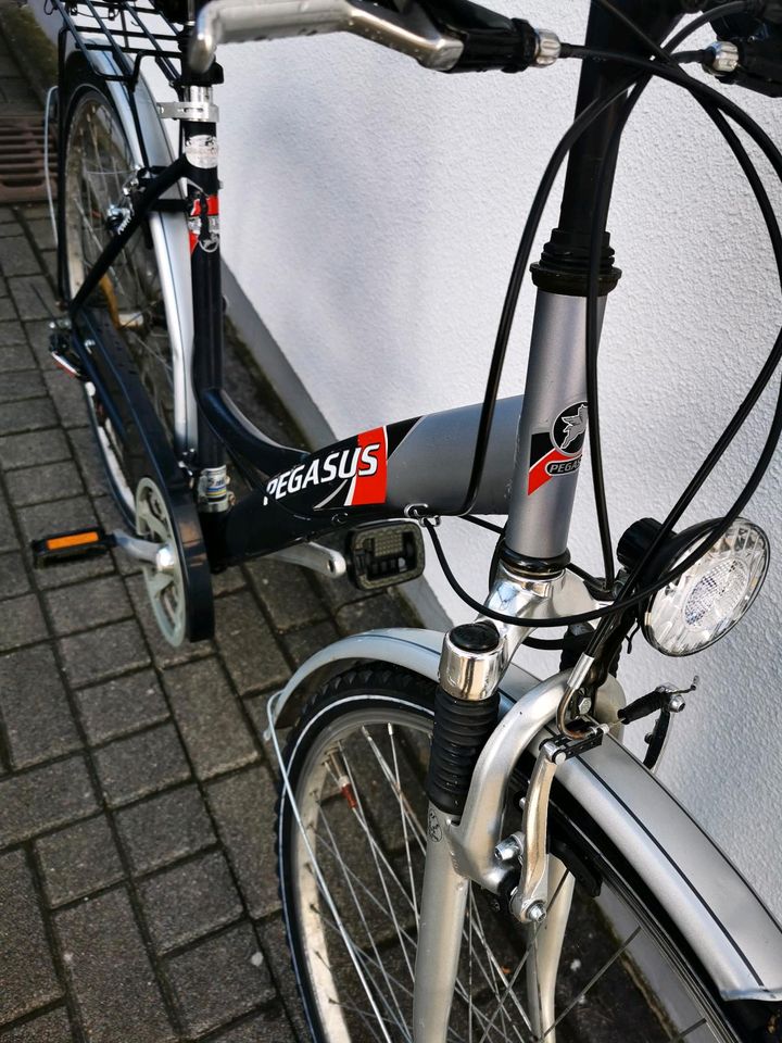 Pegasus Fahrrad in Dortmund