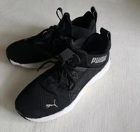 PUMA Turnschuhe  Gr.38,5 Rheinland-Pfalz - Saffig Vorschau