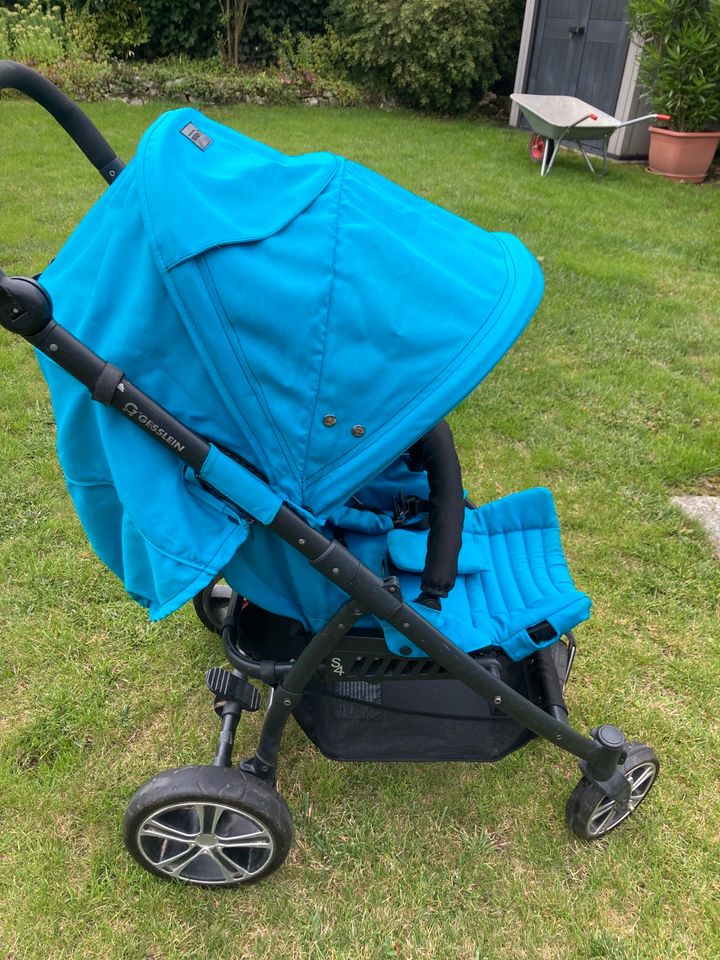 S4 Buggy Gesslein Türkis in Eppstein