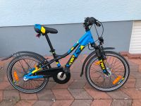 Kinder-Mountainbike 20", S'cool troX Urban 2 Rheinland-Pfalz - Mettenheim Rheinhessen Vorschau