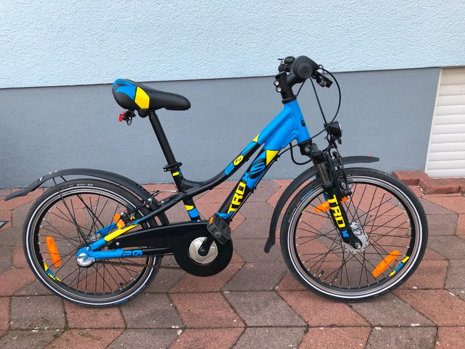 Kinder-Mountainbike 20", S'cool troX Urban 2 in Mettenheim Rheinhessen