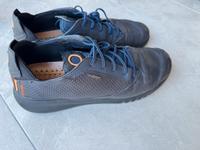 Herren Sneaker von GEOX Brandenburg - Oranienburg Vorschau