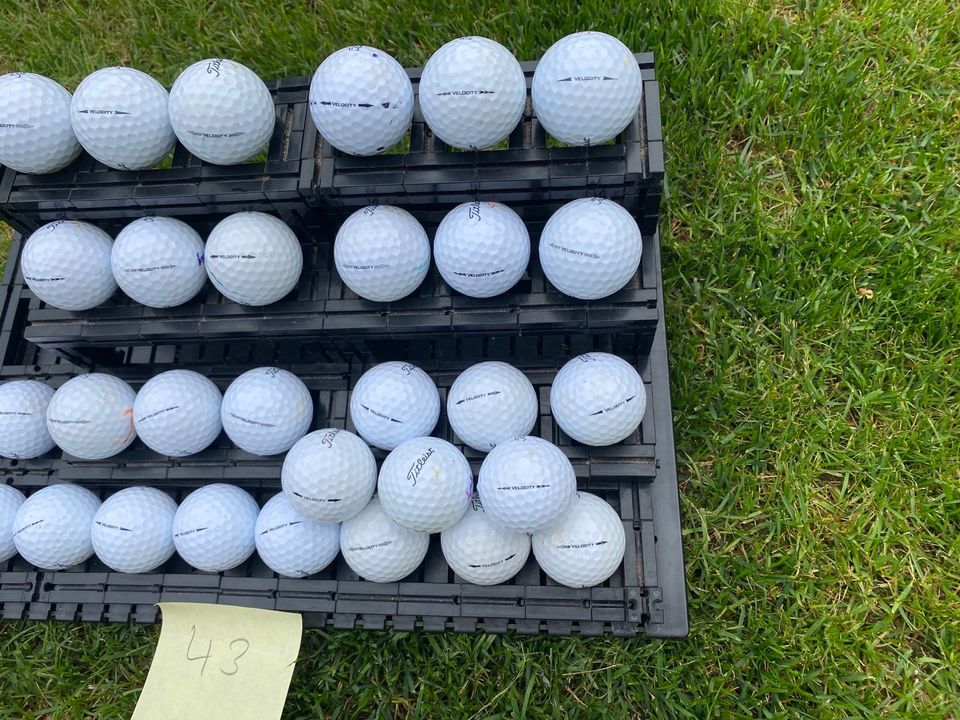 30x Titleist Velocity Golfbälle erfahren in Ludwigsburg