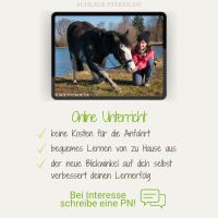 Pferdetraining, Bodenarbeit, Clickertraining – Online Unterricht Bayern - Moosinning Vorschau