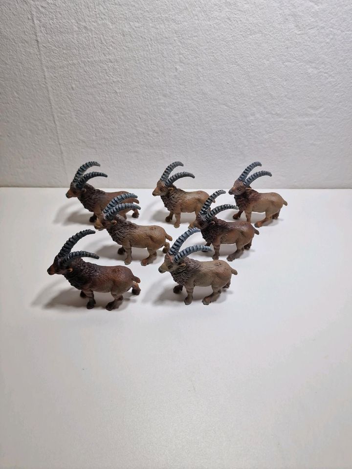 Schleich,Steinbock,Gemse,Alpaka,Lama,Schneeziege,Tapir,Gnu,Zebra. in Stuttgart