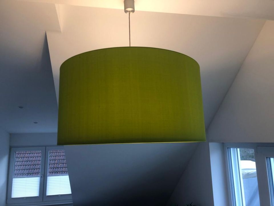 Große designer Lampe  Hängelampe / Pendelleuchte grün in Darmstadt