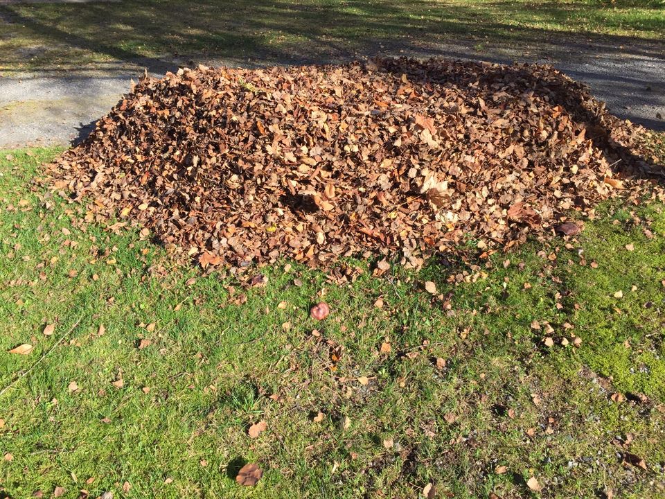 ✅ Laub Beseitigung, Gartenhilfe in Zwiesel