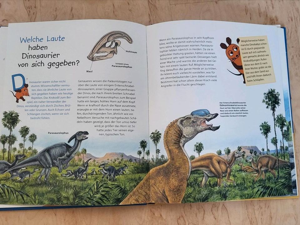 Kinderbuch Dinosaurier Anfänger Grundschule in Alheim