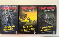 Fear street  Bücher ( einzeln 5€ pro Buch ) Baden-Württemberg - Singen Vorschau