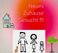 Eine junge Familie sucht gemütliche Erdgeschosswohnung Nordrhein-Westfalen - Sundern (Sauerland) Vorschau