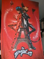 Miraculous Ladybug Einschlafpaket Berlin - Friedrichsfelde Vorschau