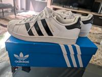 Adidas Superstar Damen Gr.40 TOP! Rheinland-Pfalz - Neustadt an der Weinstraße Vorschau