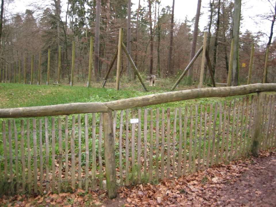 Staketenzäune Kastanienholz Gartenzäune Naturzaun Holzzaun in Straubing