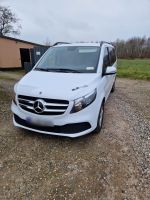 Mercedes-Benz V 220 d Aut. RISE lang RISE Schleswig-Holstein - Kappeln Vorschau