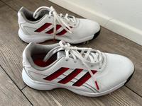 Adidas Herren Triaxon lite wide Golfschuhe Gr. 40 Hessen - Steinau an der Straße Vorschau