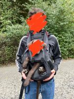 DogCarrier Backpack 7-16kg Pankow - Prenzlauer Berg Vorschau