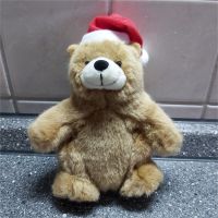 Charmin Teddy Bär Zipfelmütze Stofftier Plüschtier Kuscheltier Niedersachsen - Niemetal Vorschau