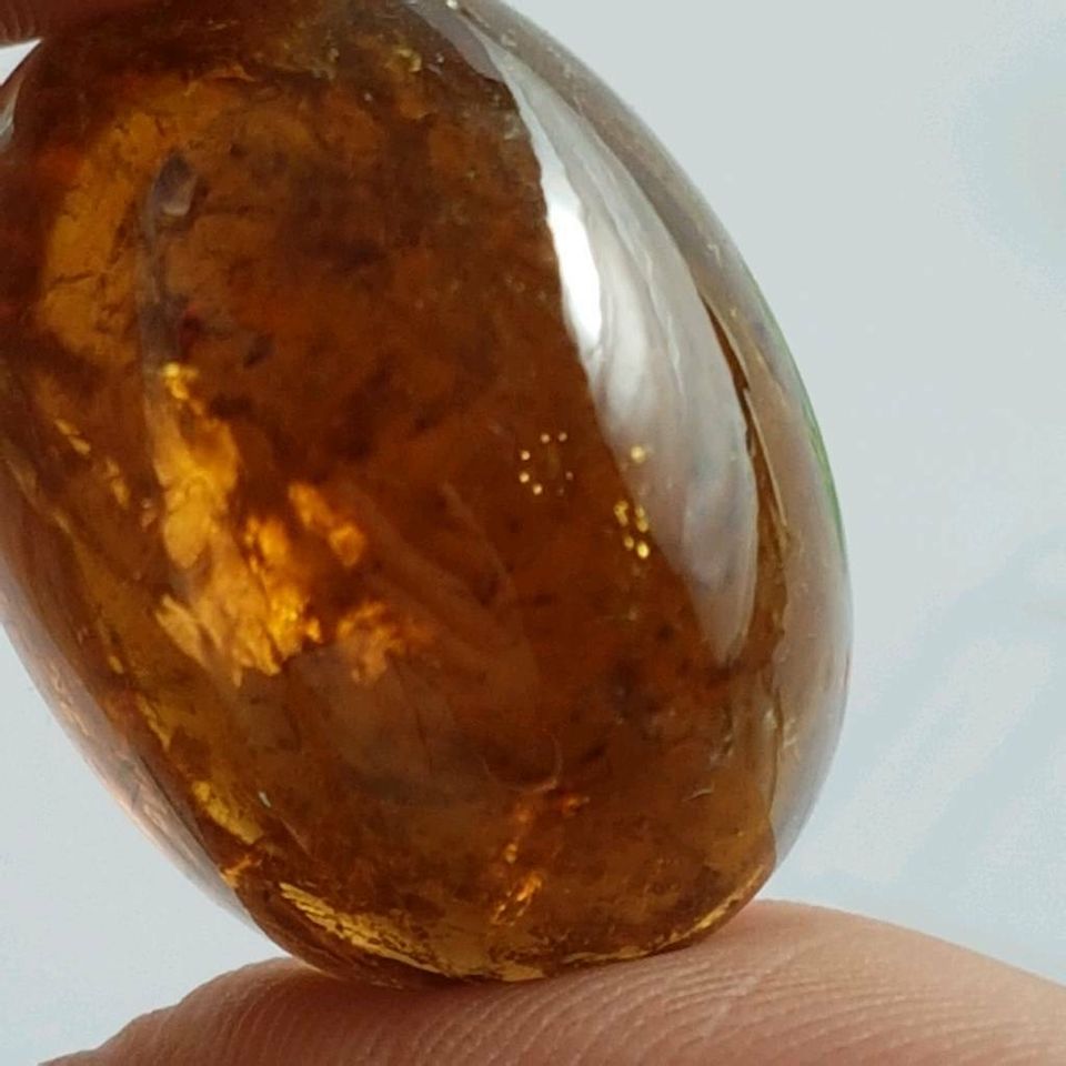 Großer ovaler Echter Dravit Turmalin ( 115,78 Carat ) 33,5 x 25mm in Recklinghausen