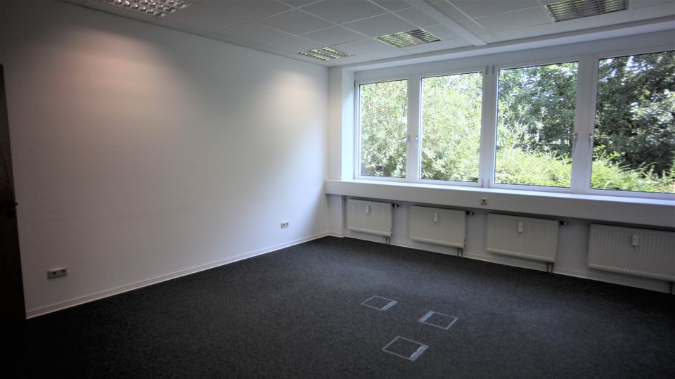 Helle, moderne Bürofläche in Kriftel in Kriftel