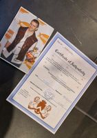 Justin Timberlake Autogramm (coa) Bonn - Hardtberg Vorschau