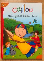 Caillou Buch Brandenburg - Zossen-Waldstadt Vorschau