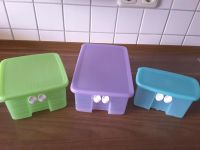 Tupperware Prima Klima Frischebox Set 3tlg. Hessen - Niedernhausen Vorschau