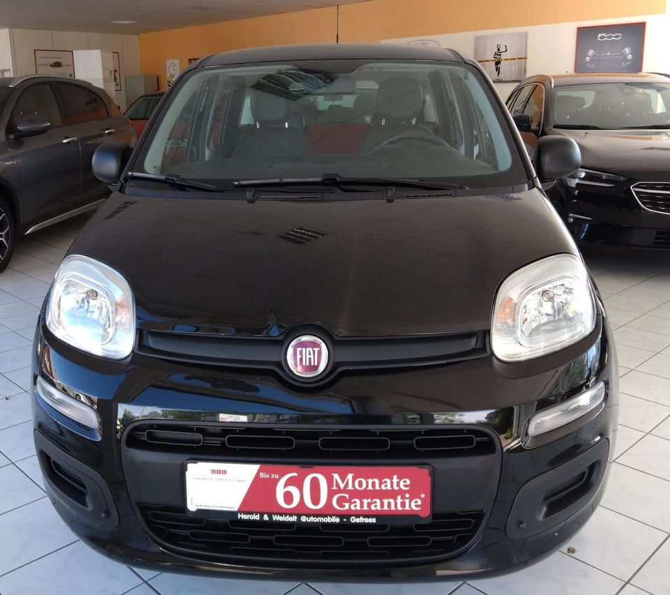 Fiat Panda Klima Radio in Gefrees