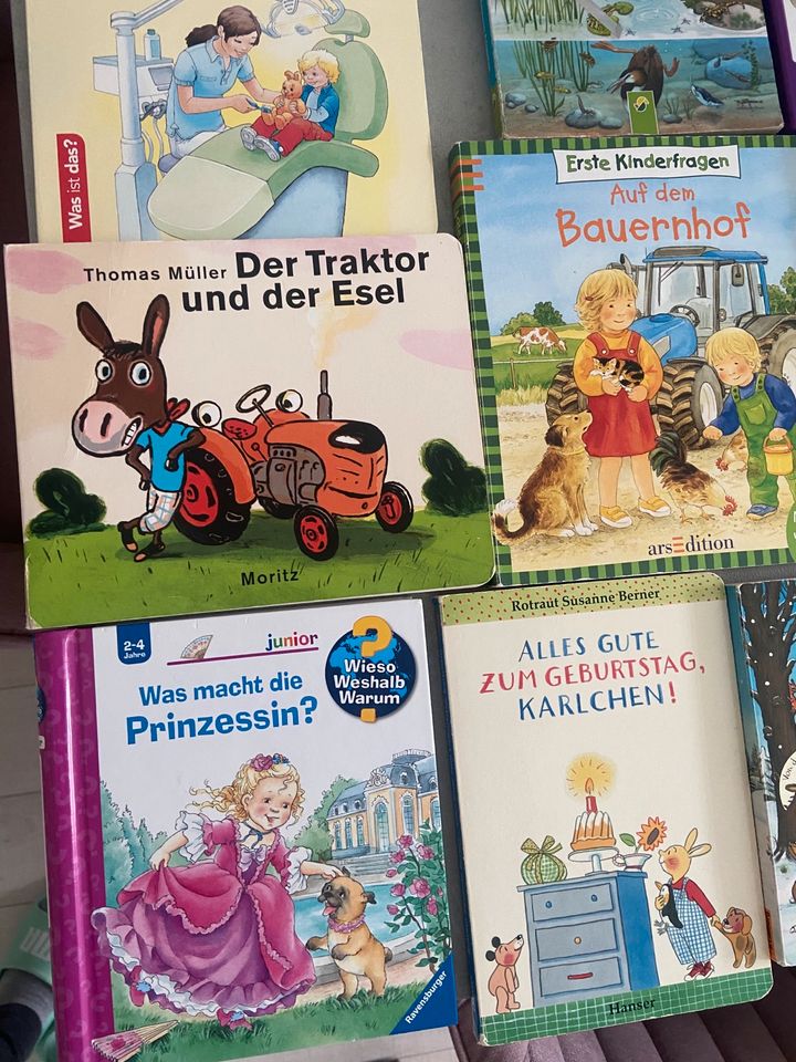 Kinderbücher Ostern Zahnarzt Stockmann Conni etc in Flensburg