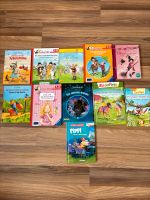 Kinderbücher Erstleser 1. Klasse Mädchen Ponys Pferde Wuppertal - Ronsdorf Vorschau