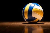 !Volleyball Spielerinnen gesucht! Sachsen - Döbeln Vorschau