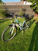 Triumph Taurus Fahrrad 26 Zoll 21 Gänge Bike Brandenburg - Neuenhagen Vorschau