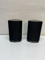 ✅Harman/Kardon 2X SAT-TS15 Lautsprecher gebraucht Hessen - Biebesheim Vorschau