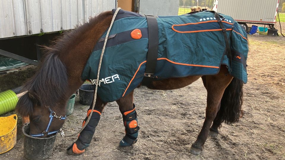 Bemer Horse Set zu vermieten in Heideblick