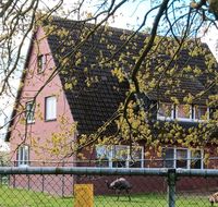 Großes Wohnhaus, Resthof ideal für Pferdehaltung Niedersachsen - Wietmarschen Vorschau