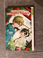 Manga Einzelband Ein wirklich schlimmer Sommer von Chiyori Schleswig-Holstein - Borgwedel Vorschau