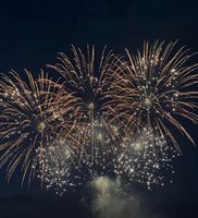 Feuerwerk - Pyrotechnik - Spezialeffekte Mecklenburg-Vorpommern - Patzig Vorschau