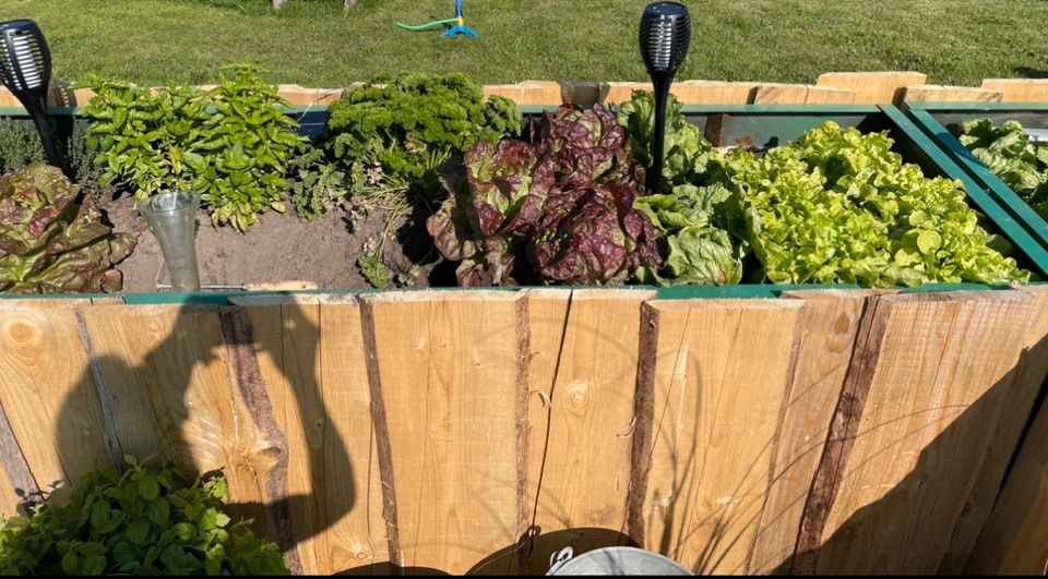 Kisten für Hochbeet Pflanzbeet Obst und Gemüse Garten(mit Deckel) in Lengenfeld unterm Stein