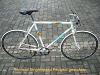 Rennrad Singlespeed Peugeot gestohlen Pankow - Prenzlauer Berg Vorschau