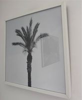 Palme Palmen Bild 50x50cm inkl. IKEA Rahmen München - Sendling Vorschau