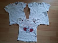 Shirts kurzarm Mädchen Größe 80/86 Sachsen - Zwickau Vorschau