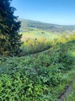 Hanggrundstück Rheinland-Pfalz - Rockenhausen Vorschau